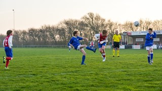 Petten-Dynamo