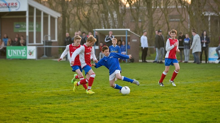 Petten- Dymao 6